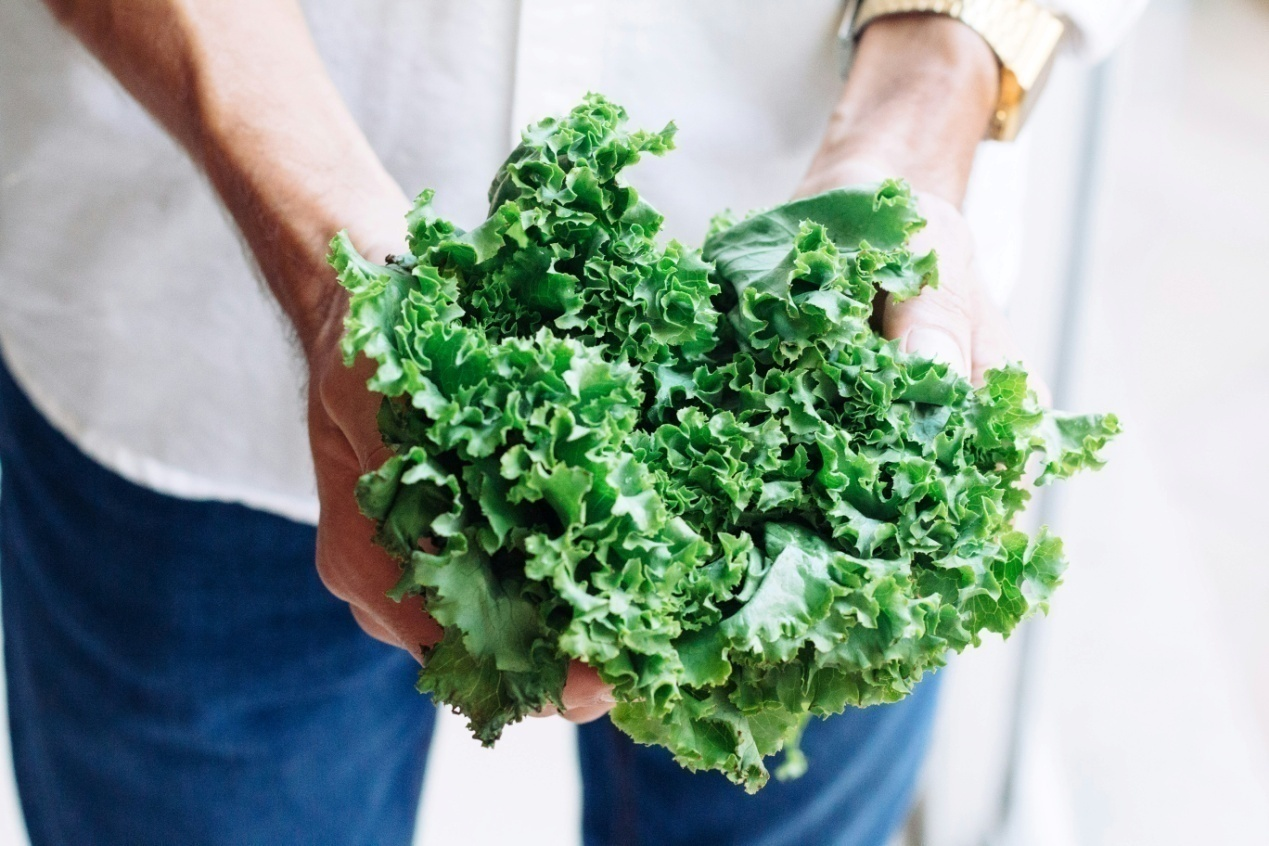 A person holding fresh kale