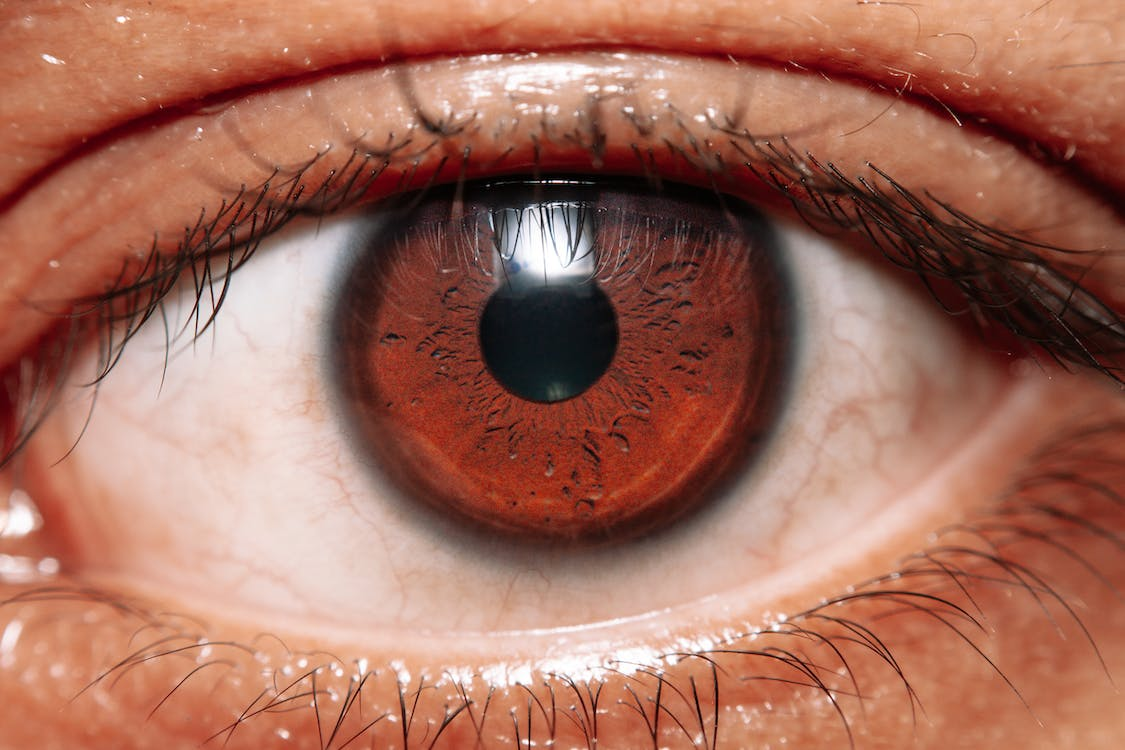 a close-up of an eye