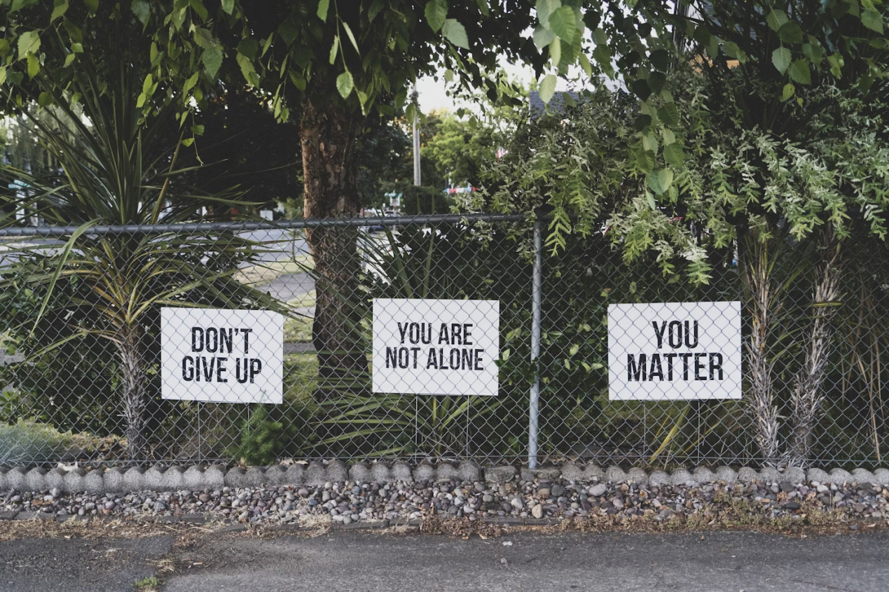 DIY signs on a fence