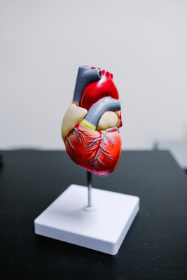 A miniature heart figure