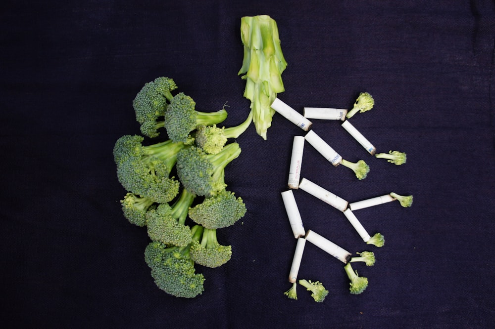 Lungs made out of broccoli and cigarette 