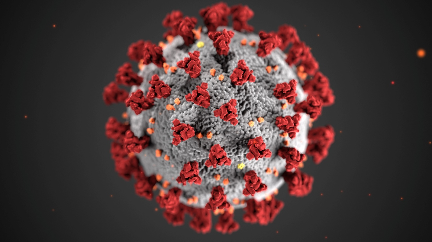 A physical structure of coronavirus