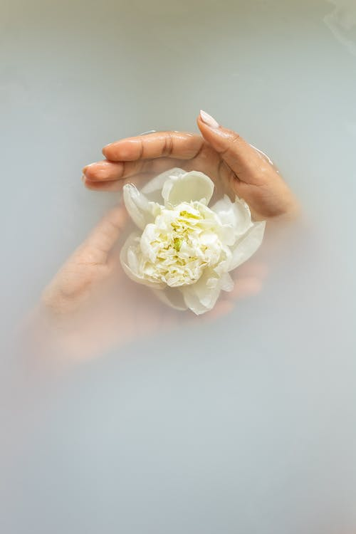 A white flower in a woman's hand represents a healthy vagina