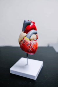 Effects of High Cholesterol and How to Deal With It