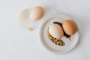 Cholesterol Chronicles: Taming the High Cholesterol Dragon