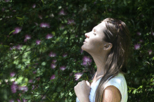 Environmental Health: Exploring the Connection between Nature and Well-Being