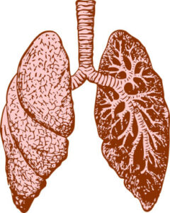 COVID-19 and Respiratory System Disorders Explained