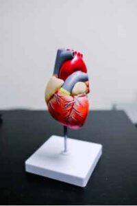 4 Tips To Lower Your Cholesterol Levels