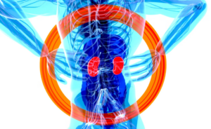 Virtual Doctor for Back Pain: When Online Consultation Is Enough